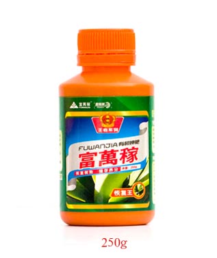 恢復王